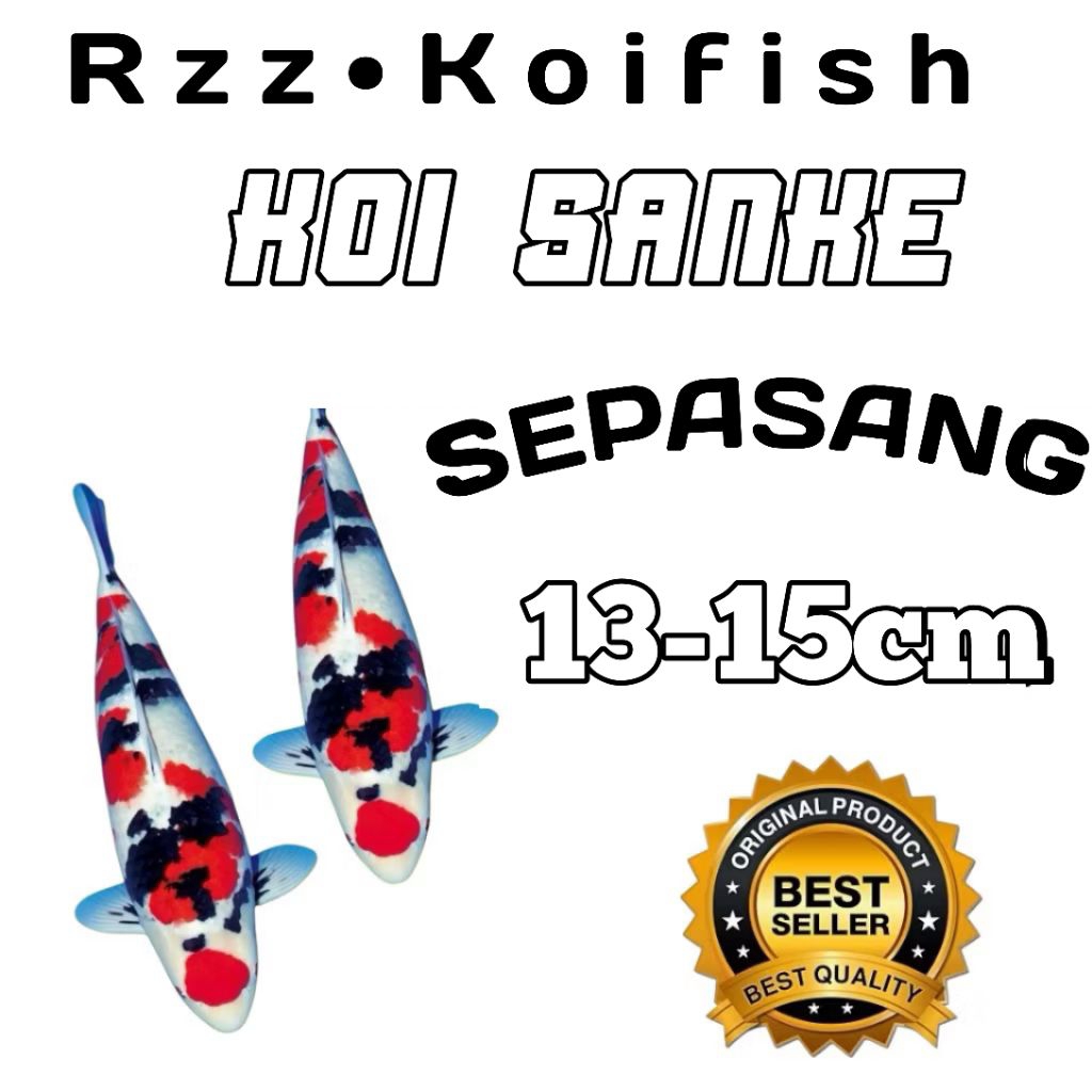 isi 2 koi Blitar Sanke berkualitas grade A