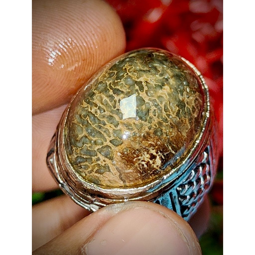 cincin batu akik anti wisa original asli cirebon