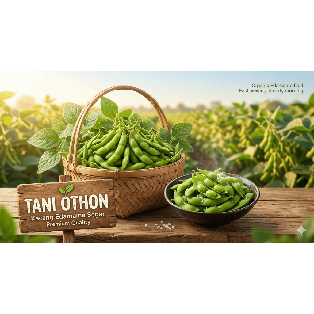 Edamame Kacang Hijau Segar 1kg - Kaya Nutrisi, Diet Sehat, Tahan Lama