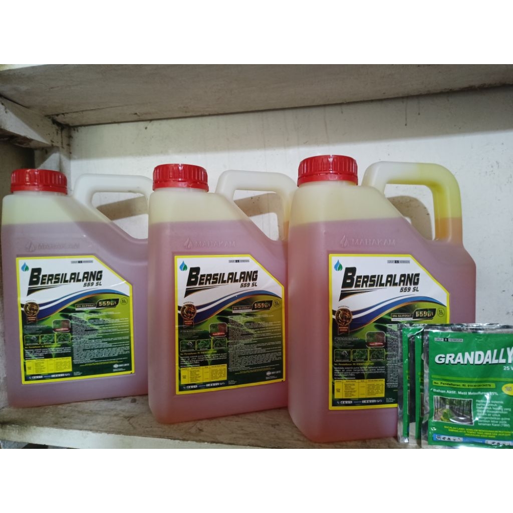 Bersilalang 559 SL 5 Liter Original
