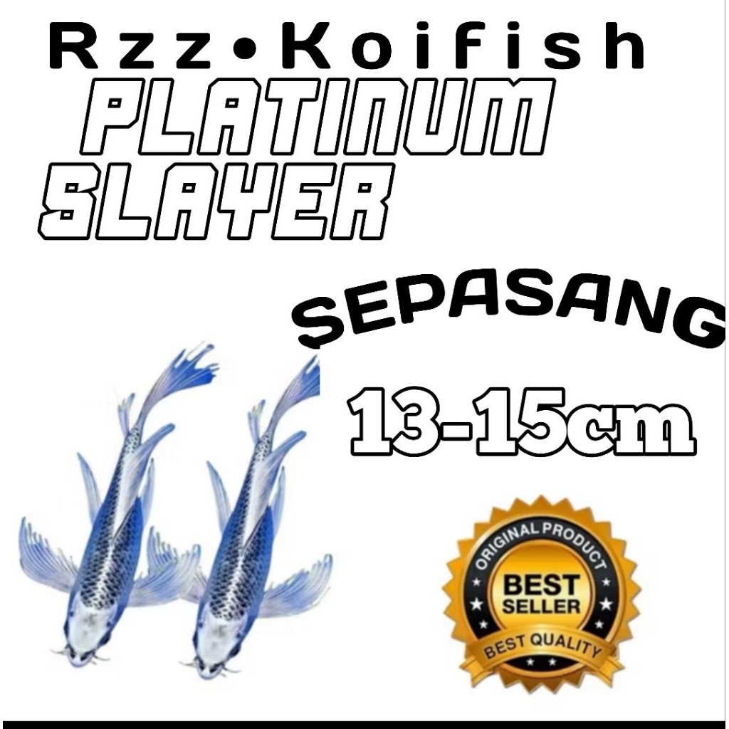 isi 2 koi Blitar platinum slayer berkualitas grade A