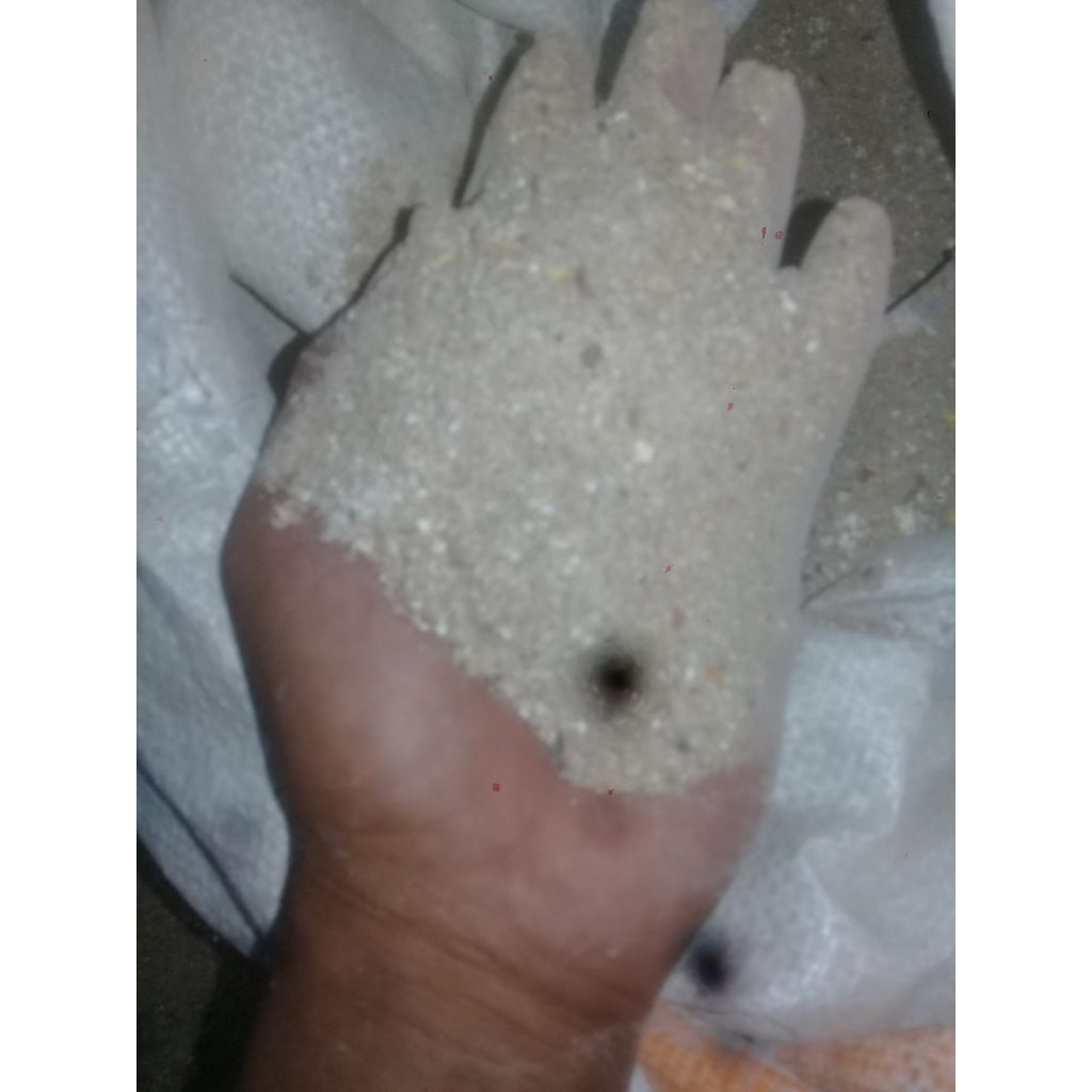 pakan kambing kering home industry