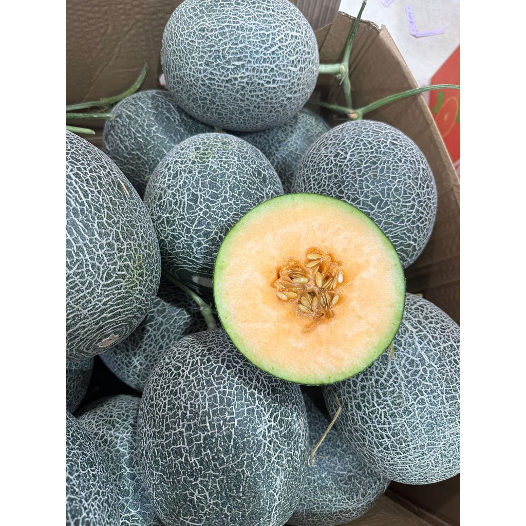 MELON ORANGE GOLDEN AROMA MELON MANIS GARING FRESH