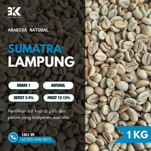 Grade 1 Natural Lampung Green Beans | Biji Kopi Mentah