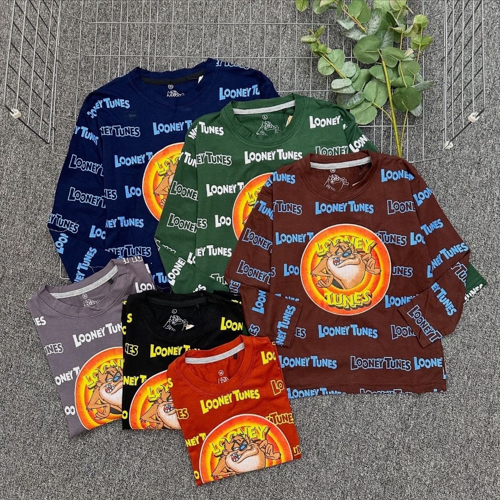 Kaos Anak Lengan Panjang Loney Tunes