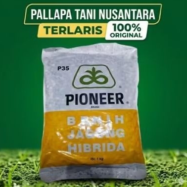 BENIH JAGUNG HIBRIDA PIONEER P35 KEMASAN 1KG