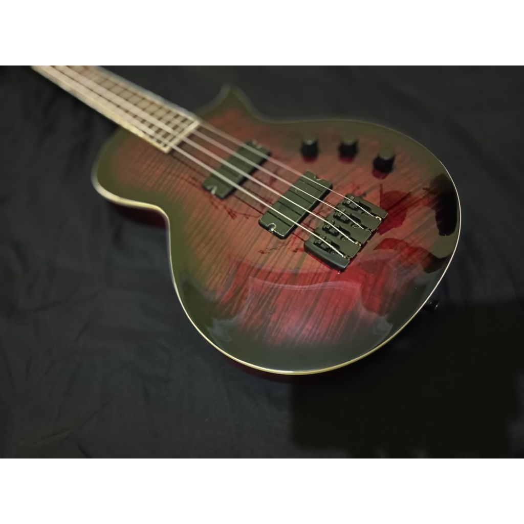 Bass model LTD body neck original