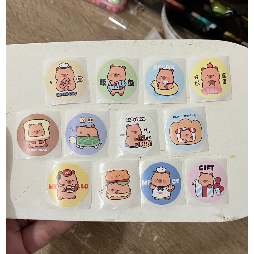 STIKER LUCU MINI STIKER BEAR POCHA CAPY CAPIBARA