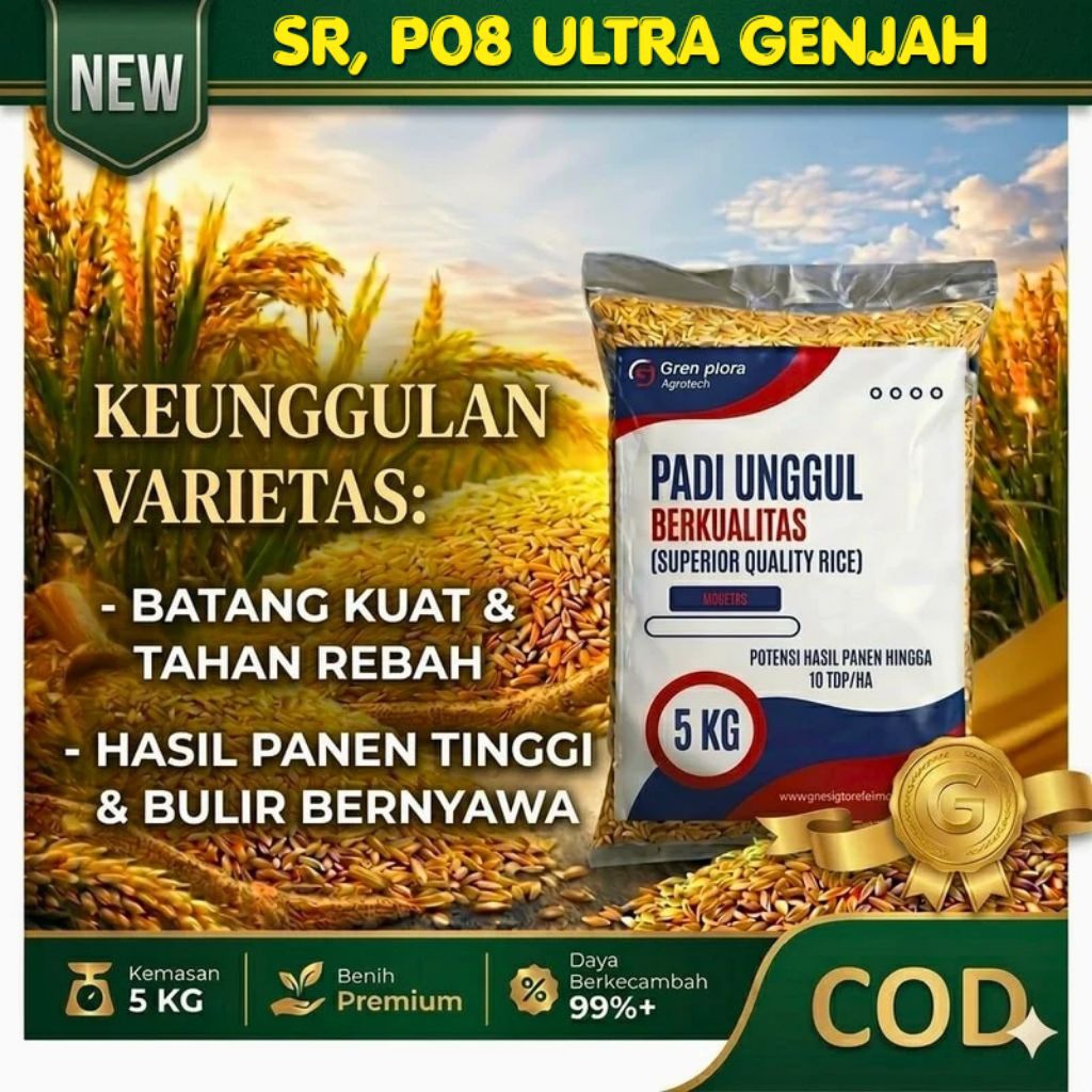Benih padi unggul SR,P08 Ultra genjah kemasan 5kg berkualitas (65/75 hst)
