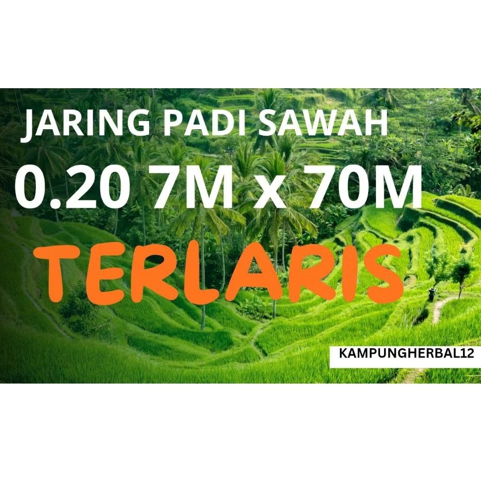 JARING SENAR / JARING BURUNG EMPRIT / JARING PADI / JARING SAWAH / JARING JAGA PADI SAWAH