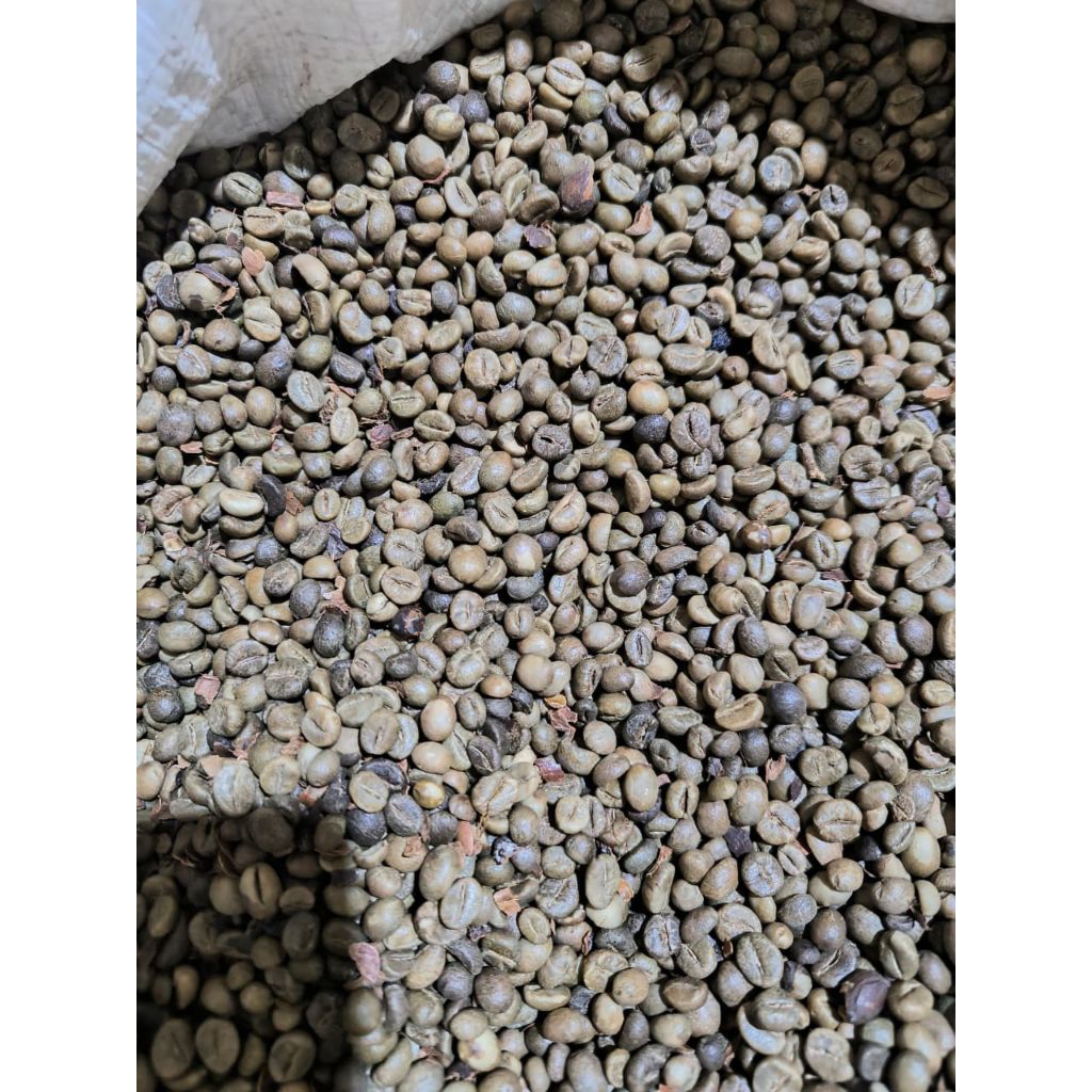 Biji kopi mentah