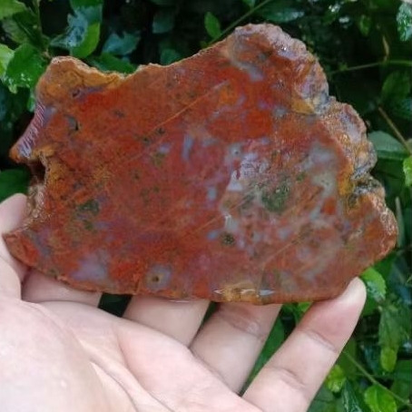 Batu akik pancawarna Klawing unik