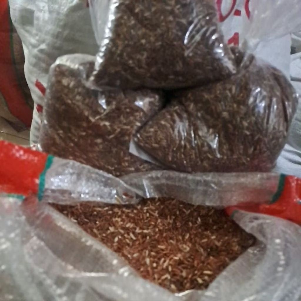 beras merah 1 kg repack, beras merah solo pakan hewan