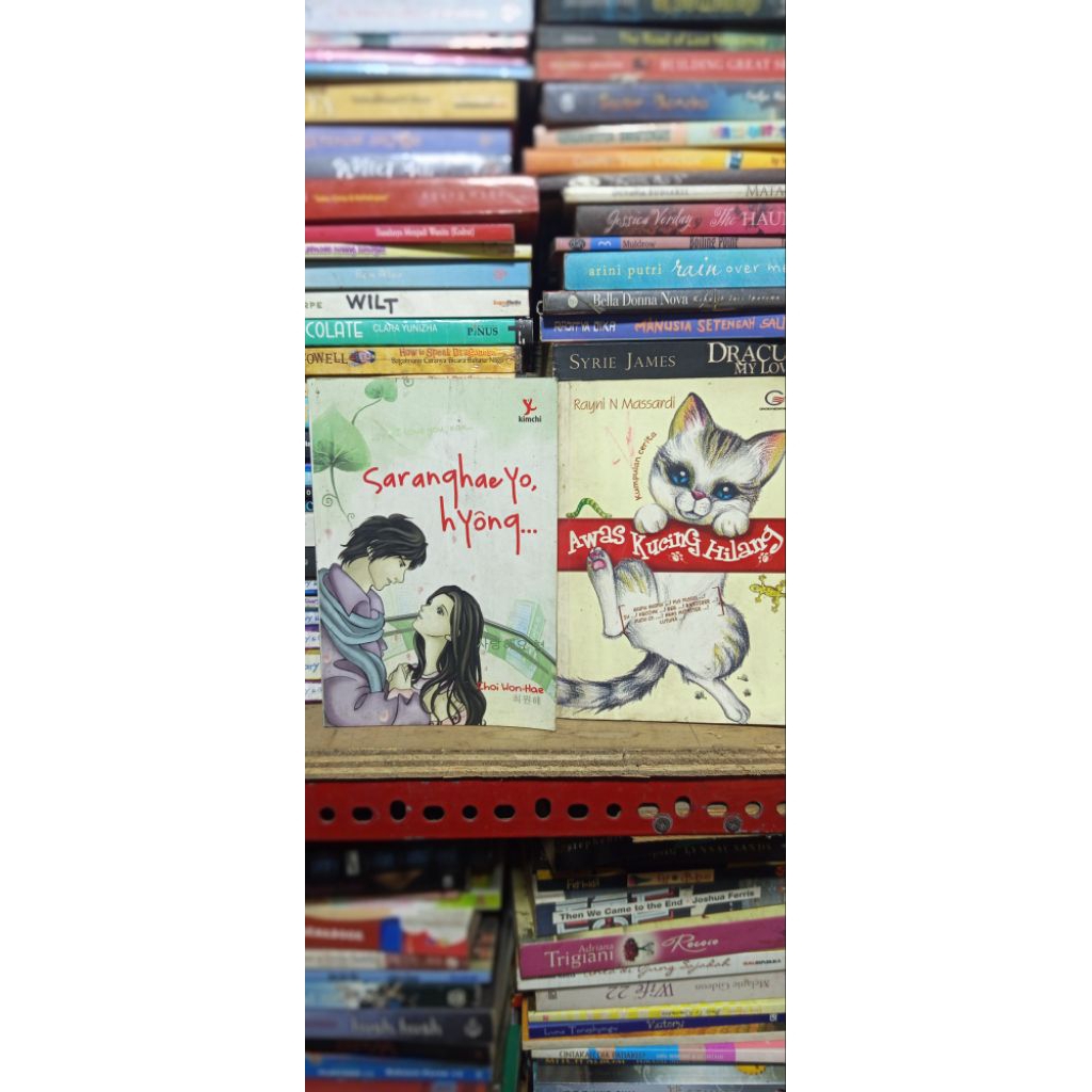 •Novel Romance Korea Saranghae Yo, Hyong Karya Choi Won-Hae Kisah Cinta Romantis Korea (Ilmoe Store)