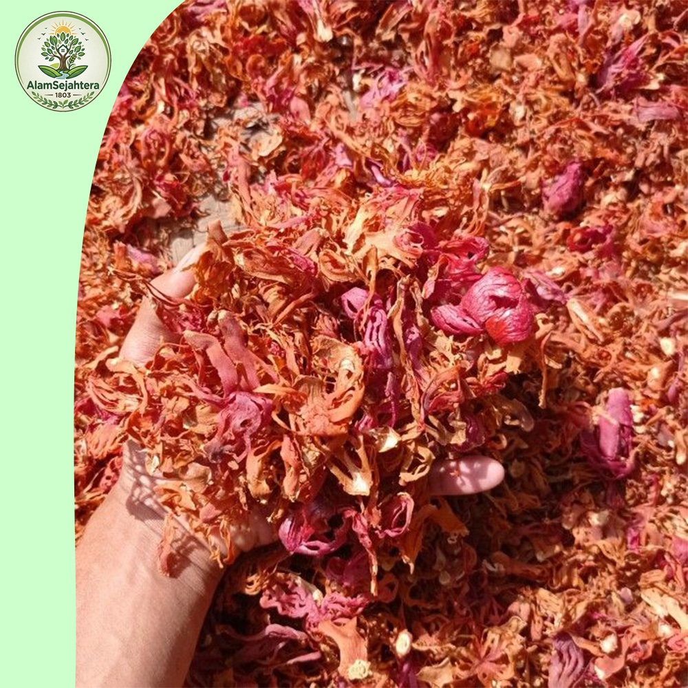 Bunga Pala Kering 1 Kg - Fuli - Sempra Pala Kering