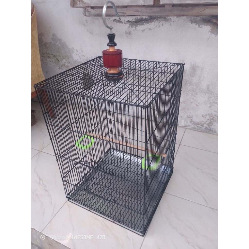 kandangburungbesi40x40x58