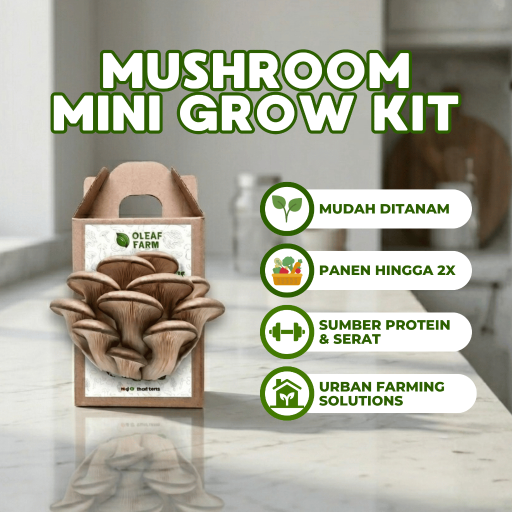 Paket Lengkap Budidaya Bibit Jamur Tiram Coklat Organik Indoor Edukasi Menanam Mushroom Mini Grow KI