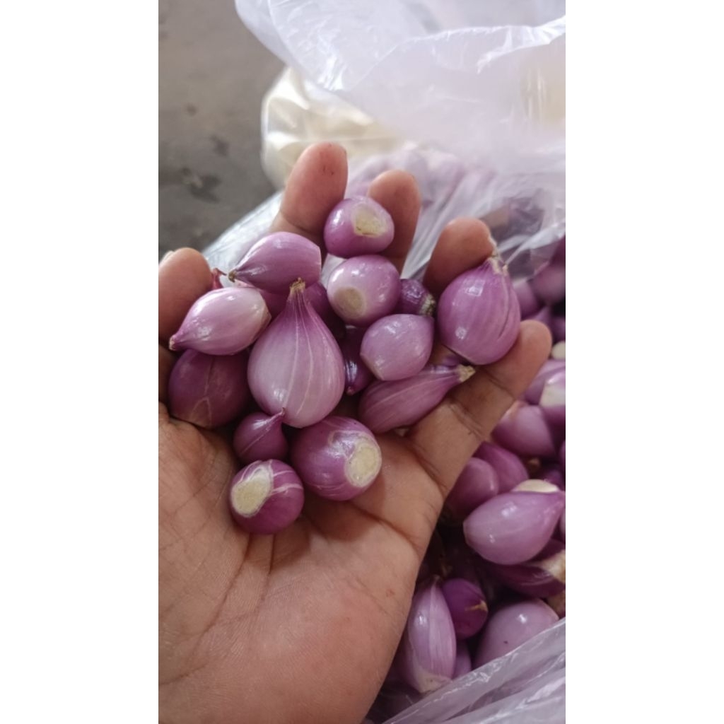 bawang merah kupasan 1kg