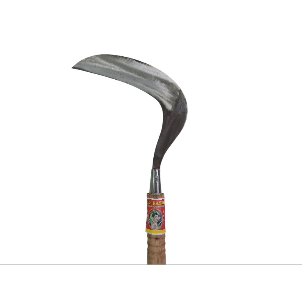 Sabit Rumput Kasri putih ukur sedang buat pengaritan