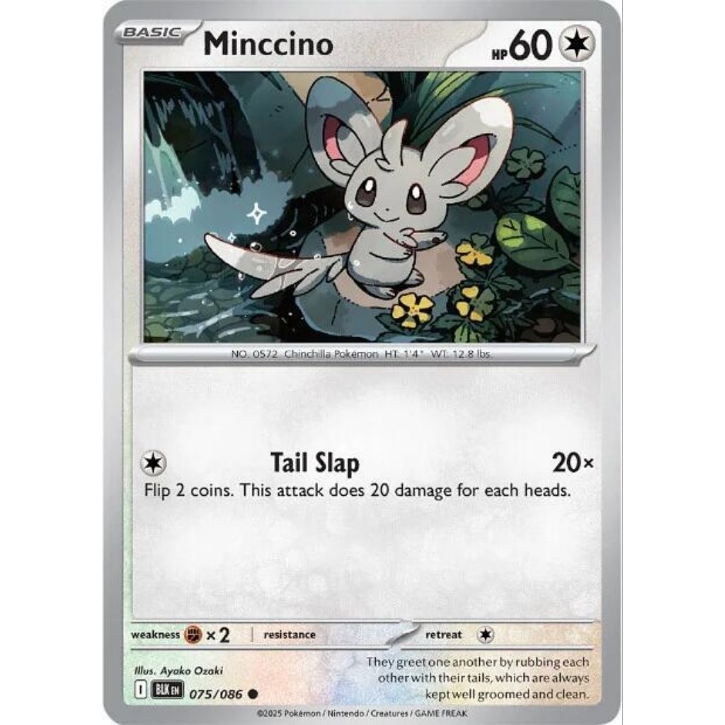 Minccino 075/086 Common Black Bolt Pokemon
