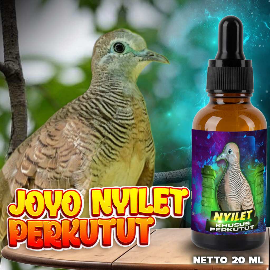 VITAMIN BURUNG PERKUTUT NYILET | OBAT BURUNG NYILET PERKUTUT | OBAT  BURUNG KURUS | PENAMBAH NAFSU M