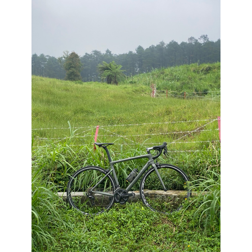 Roadbike Delihea Rest Frameset