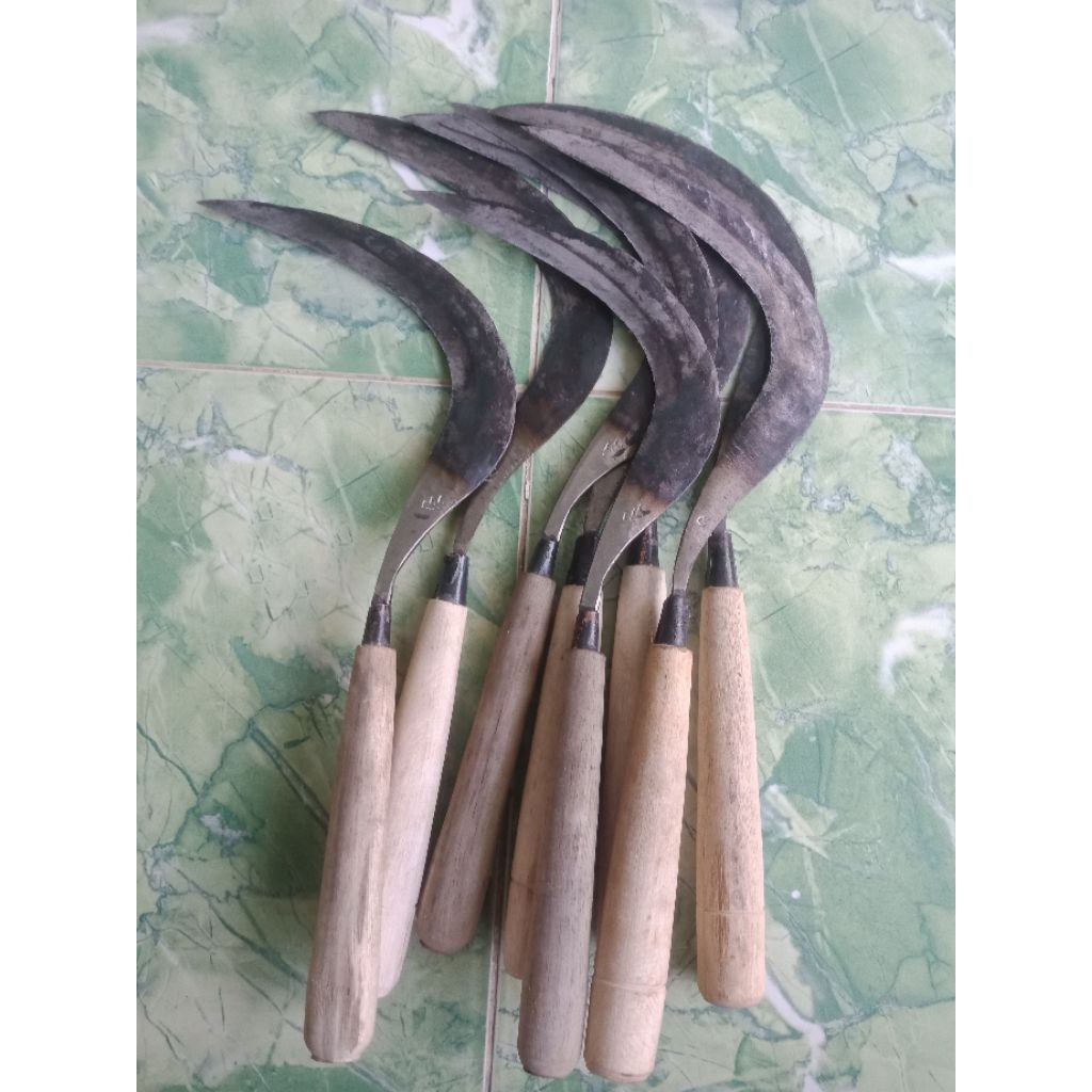 Arit padi / pengarit padi siap pakai, ringan, tanpa asah