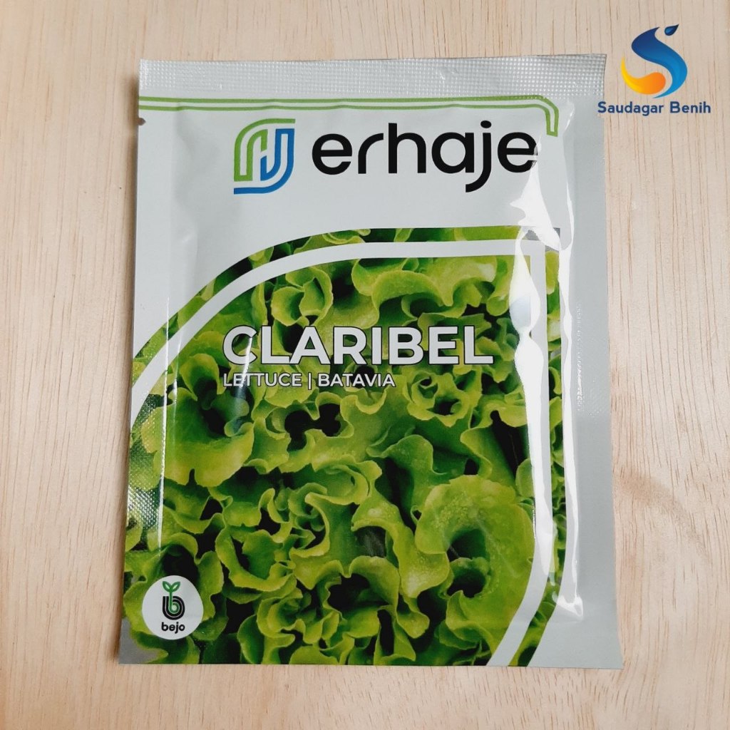 1000 pills CLARIBEL - Benih Lettuce Batavia Benih Selada bejo Original bejo seed