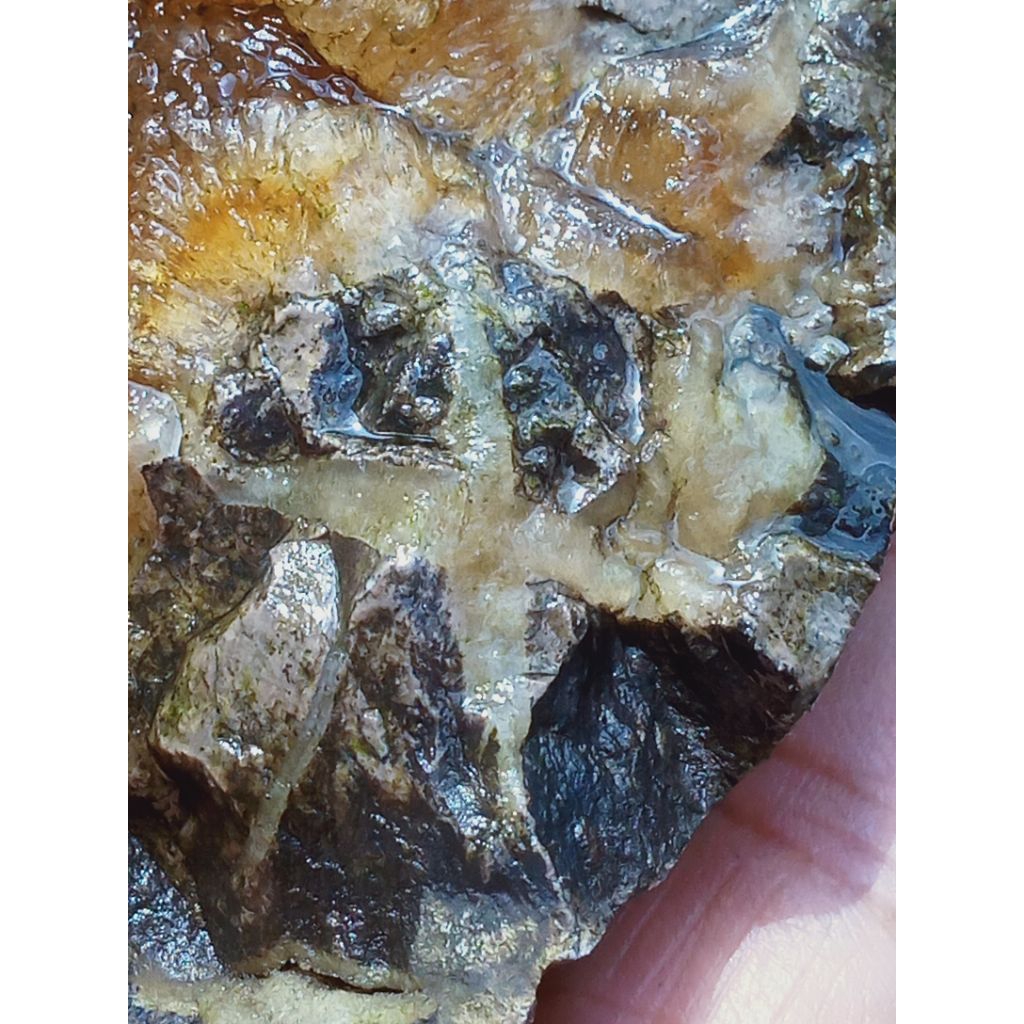 Empat Bongkahan Batu Fosill ManiGajah Kristal