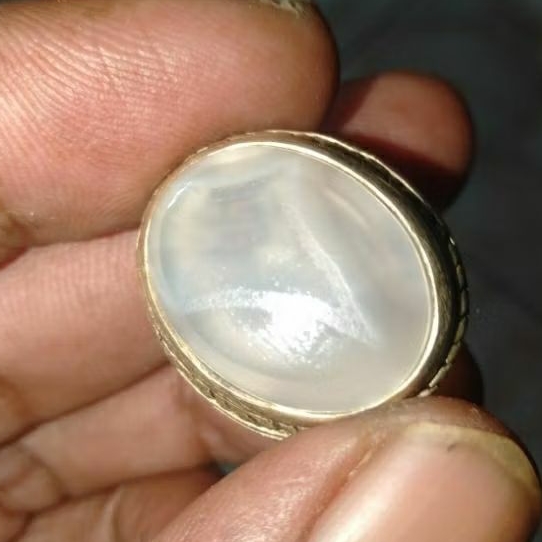 Batu Cempaka/Anggure Putih Kantong Semar Karang Nunggal Asli Semeru Lumajang