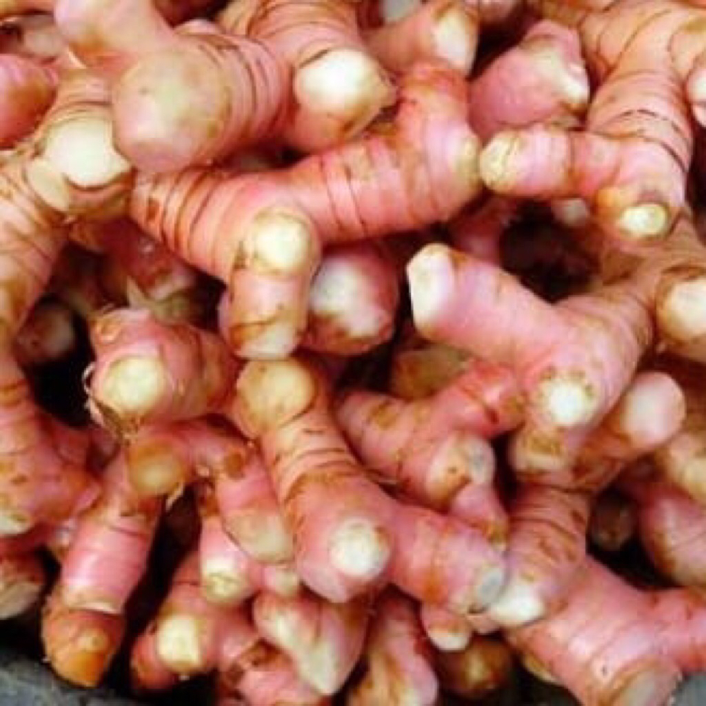 Lengkuas 1 kg