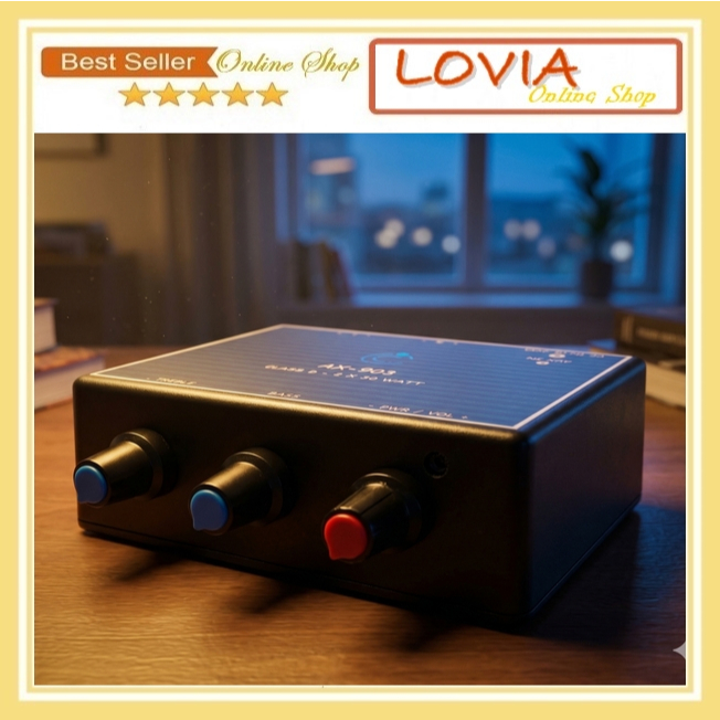 Ampli Rakitan Amplifier Miniatur Class-D 12V 2x30 Watt Siap Pakai AX-903