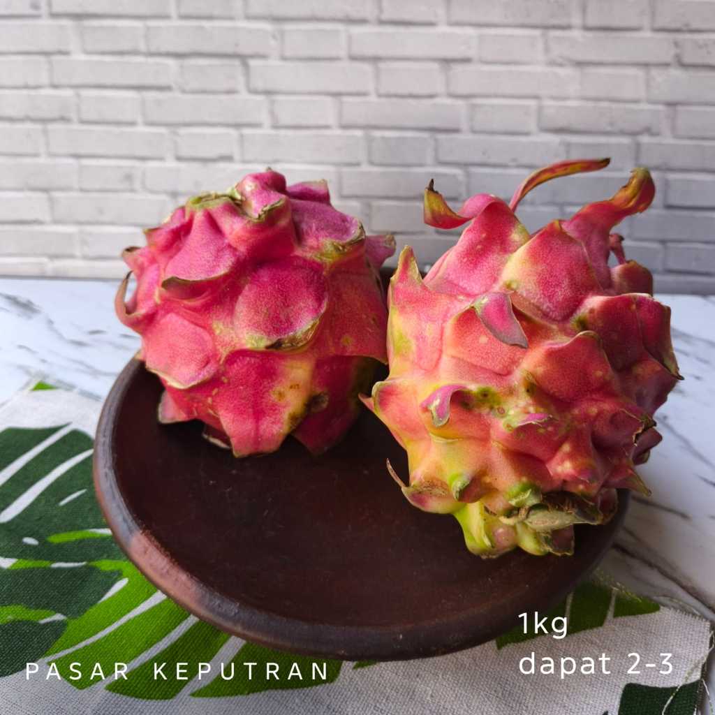 buah naga merah,buah naga,buah naga segar