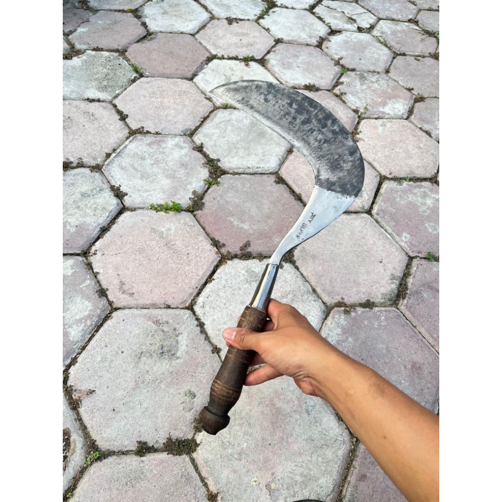SUPER ALIX | Baja tembus arit rumput
