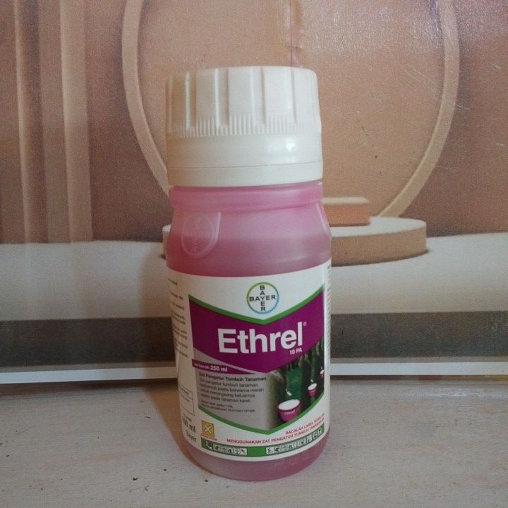 Ethrel Penambah Getah Karet Zat Pengatur Tumbuh Prangsng Pemacu Getah Karet Obat Oles Karet Getah Me