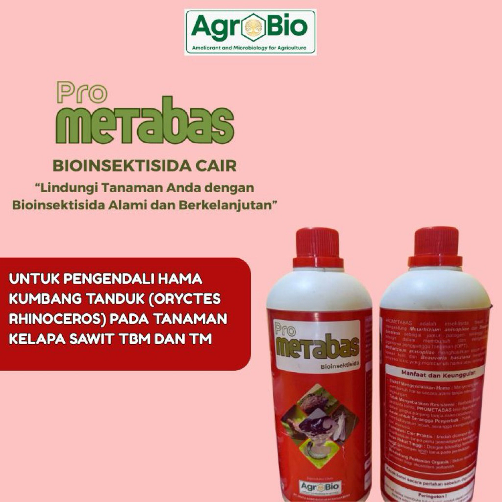 PENGENDALI HAMA KUMBANG TANDUK SAWIT - PROMETABAS