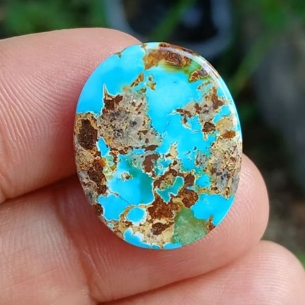 pirus biru ceplok