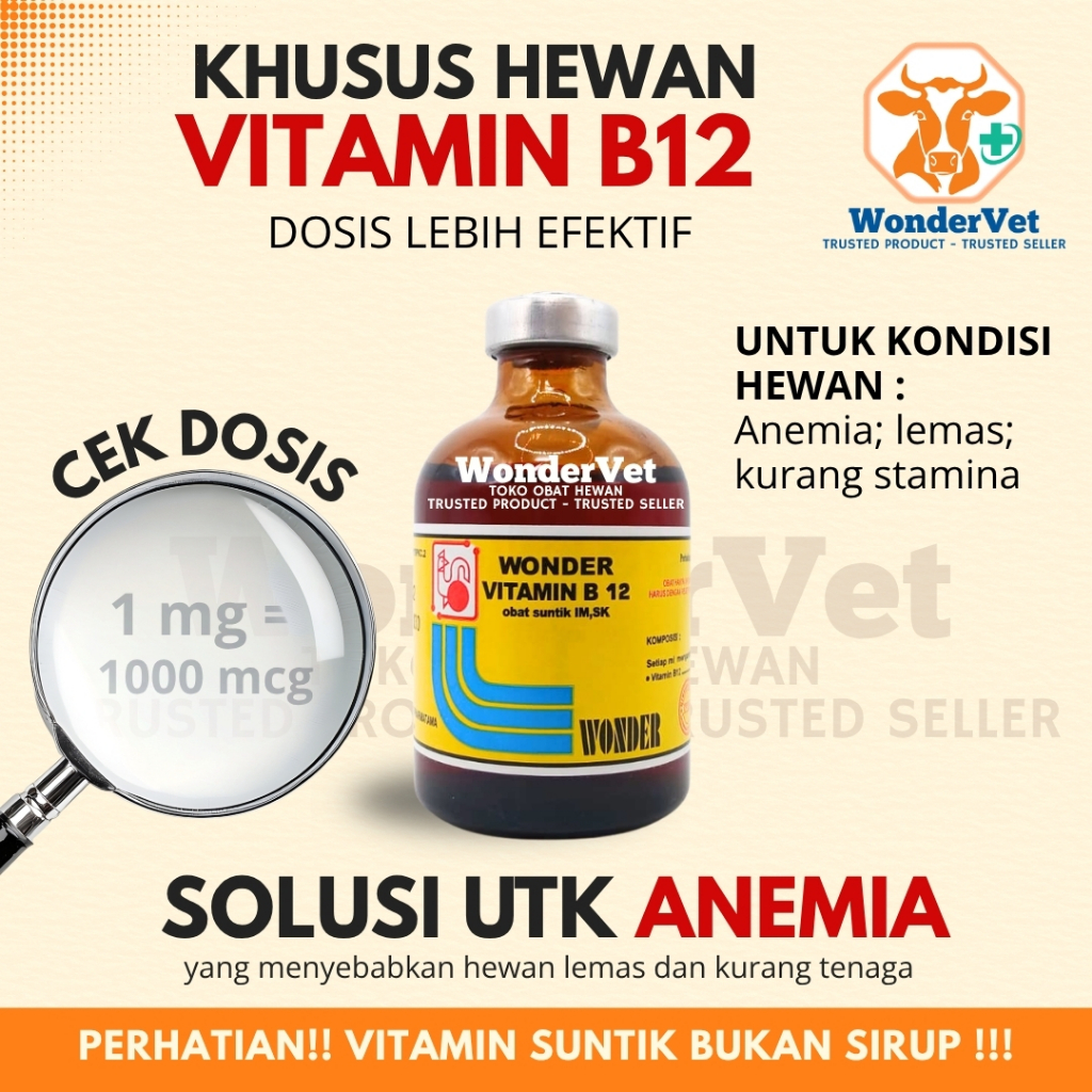 NEW Vitamin B12 Injeksi/Suntik Hewan - Anemia Kurang Darah - Nambah Napsu Makan
