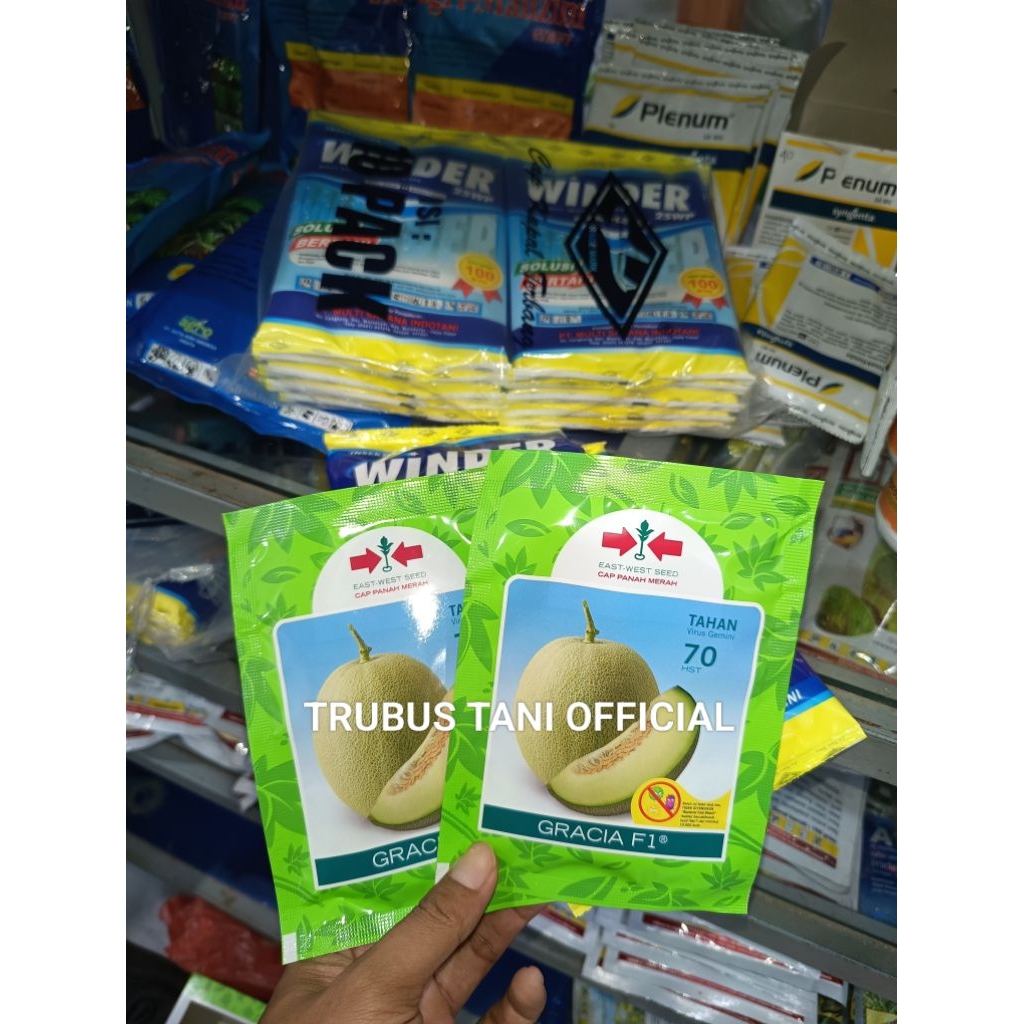 Benih Bibit Melon Madu Gracia F1 (Tahan Penyakit) isi Benih 500 butir Kadaluarsa. 2027 (Terbaru) - C
