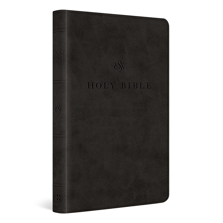 ESV Premium Church Bible, Large Print, Red Letter (Trutone)