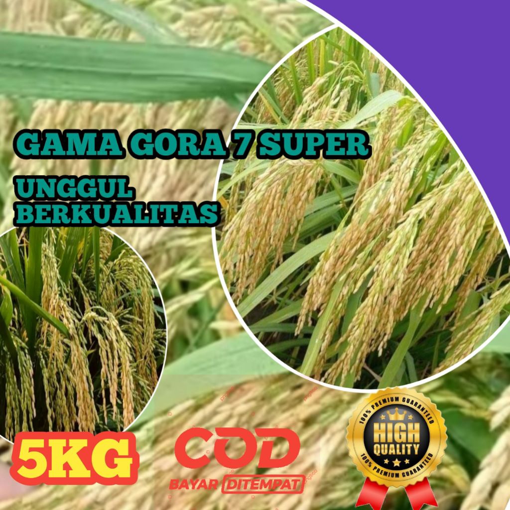 BENIH PADI GAMAGORA 7 SUPER BERKUALITAS UNGGUL KEMASAN 5KG