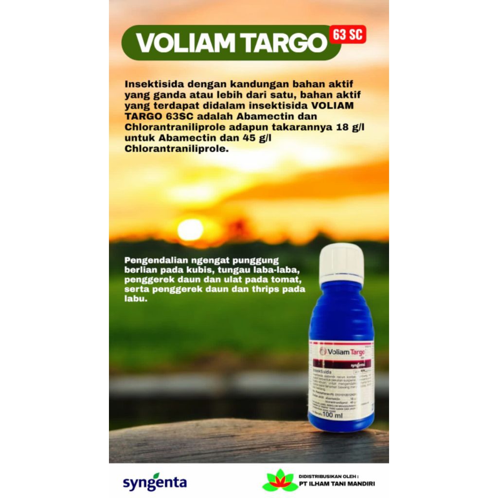 VOLIAM TARGO 100 ML