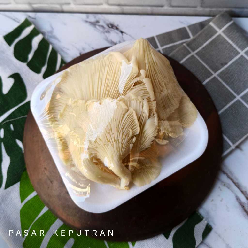 Jamur tiram,jamur tiram putih,jamur tiram segar fresh