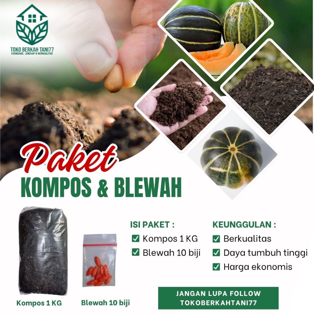 Benih Blewah Siap Tanam Benih Buah Blewah Siap tanam