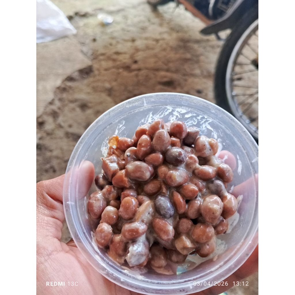 KACANG PRESTO UMPAN BAWAL HARIAN GALATAMA