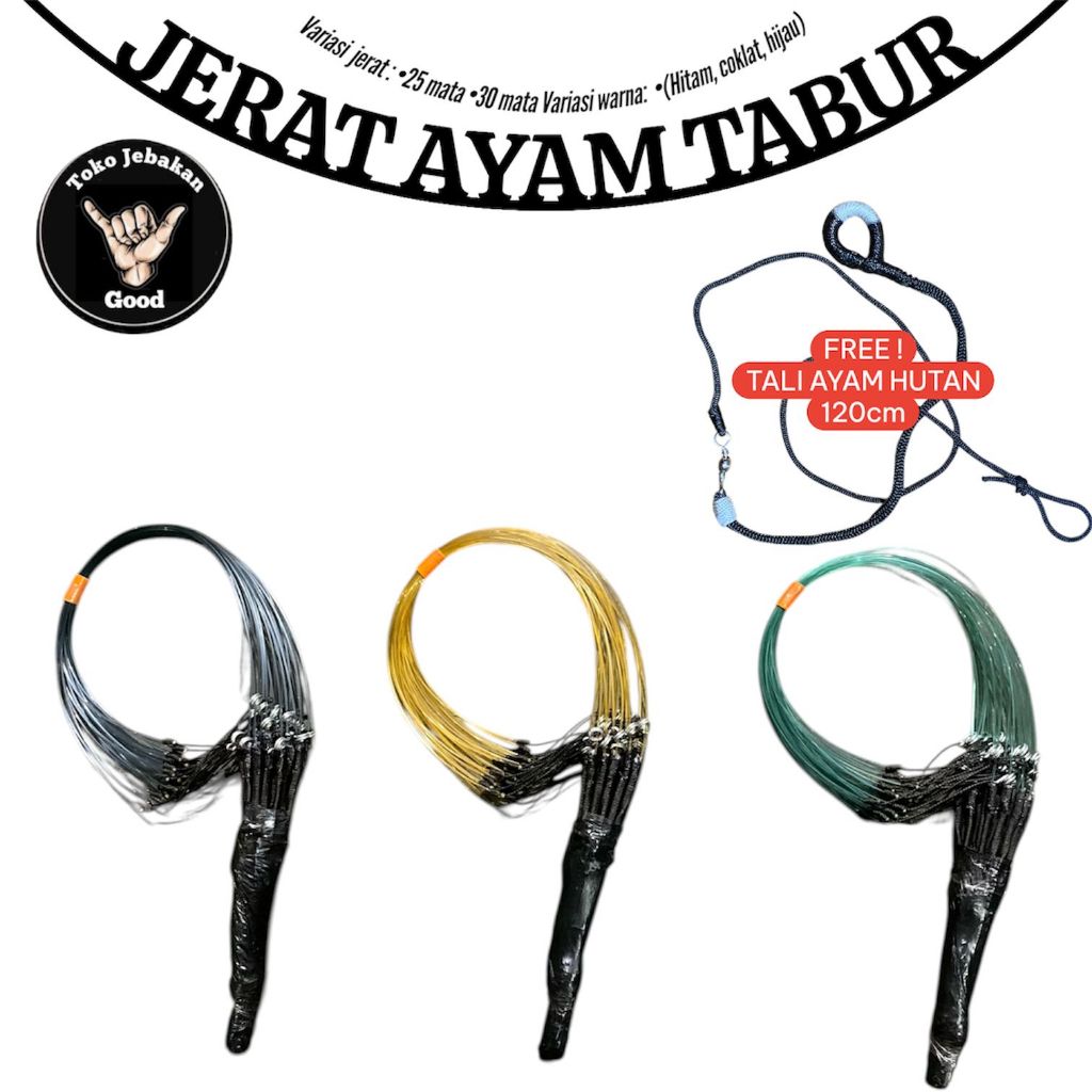 JERAT TABUR AYAM HUTAN