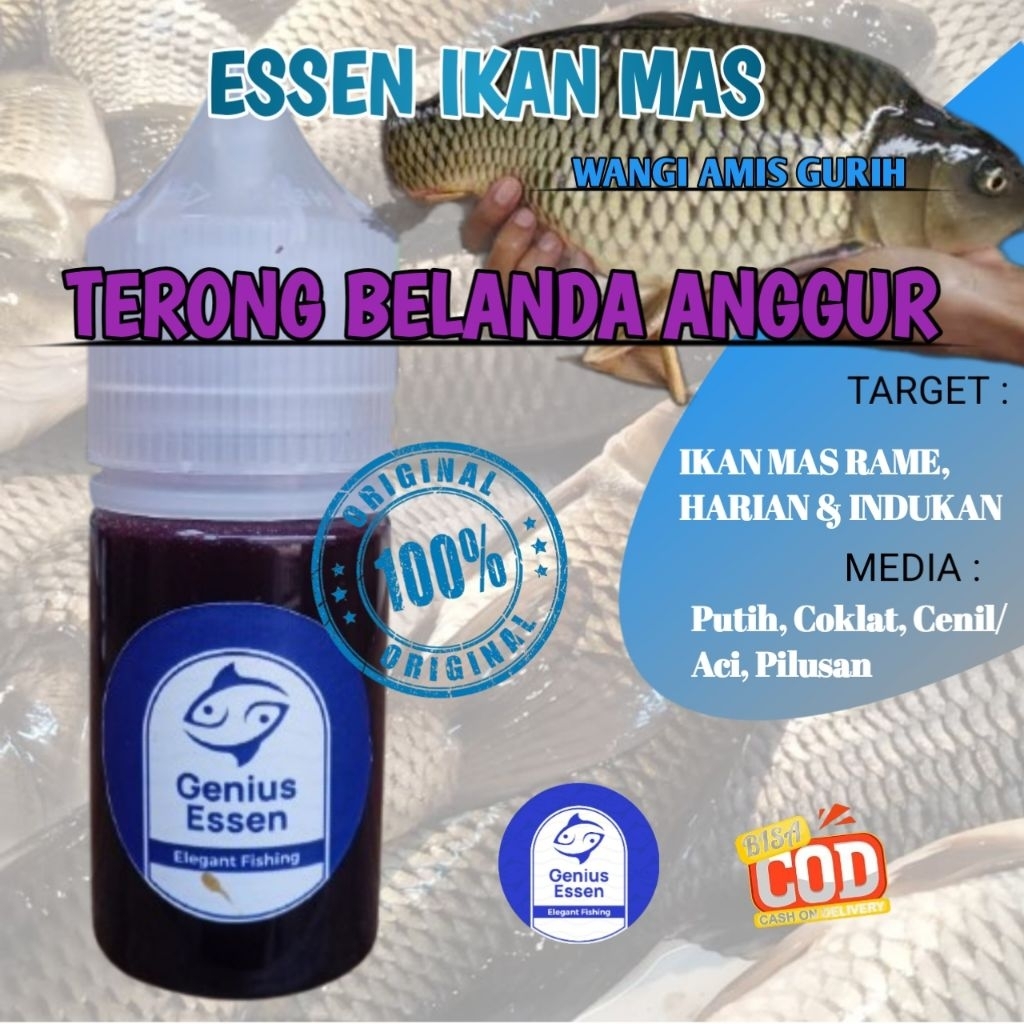 Essen Ikan Mas Terong Anggur Essen Ikan Mas Indukan Essen Ikan Mas Essen Ikan Mas Paling Ampuh Essen