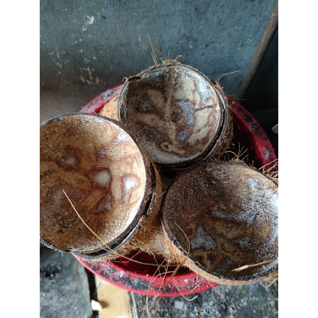 Batok kelapa belah , Batok kelapa kering , Batok kelapa bahan arang dan kerajinan. batok kelapa harg