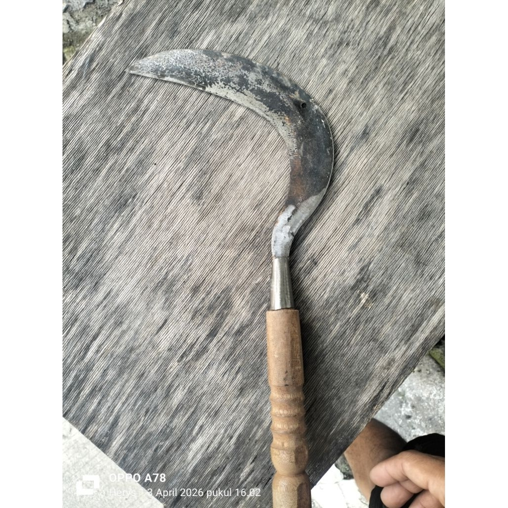 arit/sabit potong rumput ukuran sedang