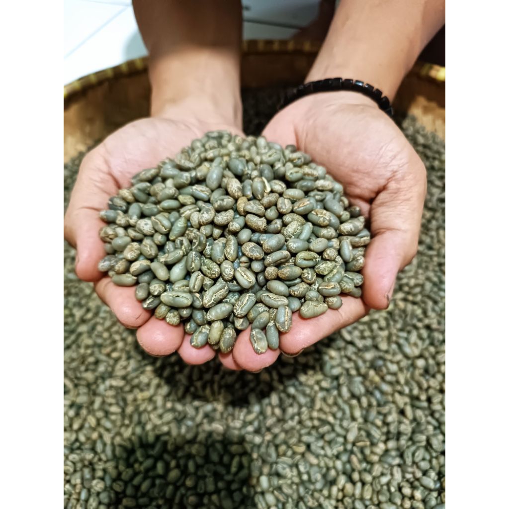 GREEN BEAN (GB) kopi mentah arabika garut papandayan full sortiran siap rosating